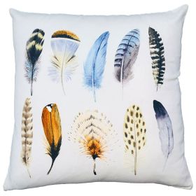 20 x 20 Modern Square Cotton Accent Throw Pillow; Printed Feather Patterned Design; White; Multicolor - as Pic