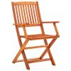 vidaXL Folding Patio Chairs 2 pcs Solid Eucalyptus Wood - Brown