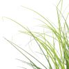 vidaXL Artificial Grass Plant Green 31.5"